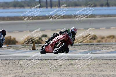 media/Nov-16-2025-Race Pace (Sun) [[8c5fa54630]]/Verified Riders/3-Turn 14 (1045am)/